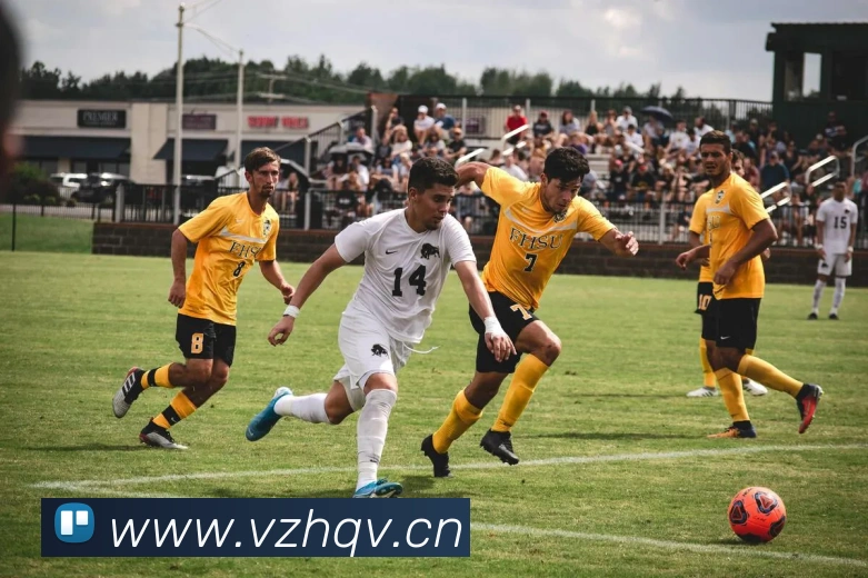 leyu乐鱼网址全站App